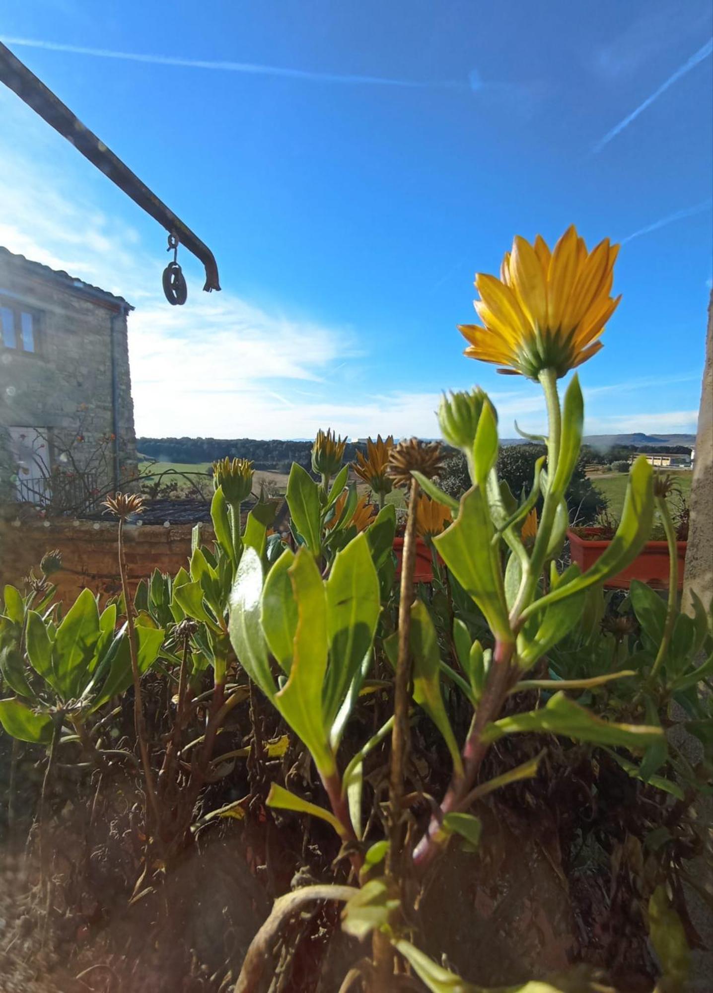 Casa Pardal Coliving & Coworking Guest House Sant Pere Sallavinera Exterior photo