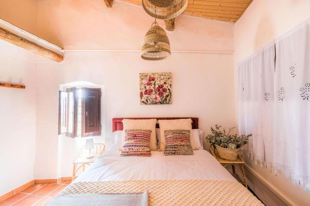 Casa Pardal Coliving & Coworking Guest House Sant Pere Sallavinera Exterior photo